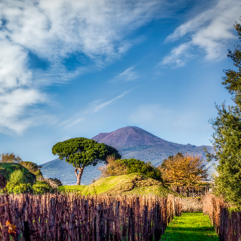 Pompeii and Wine Tour