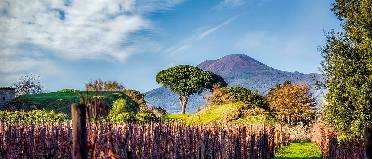 Pompeii and Wine Tour