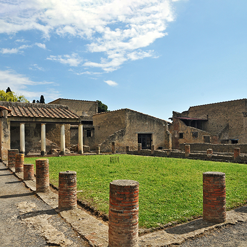 Pompeii and Herculaneum Tour