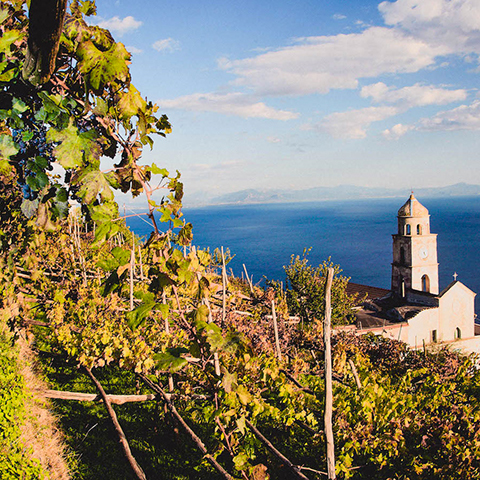 Ravello, Amalfi and Wine Tasting Tour
