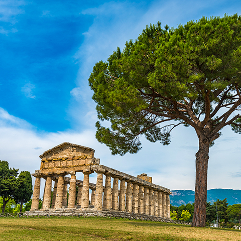 Paestum Temples and Buffalo Mozzarella Tasting Tour